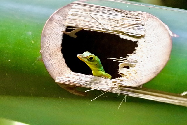 image from Solo Activities Grenada