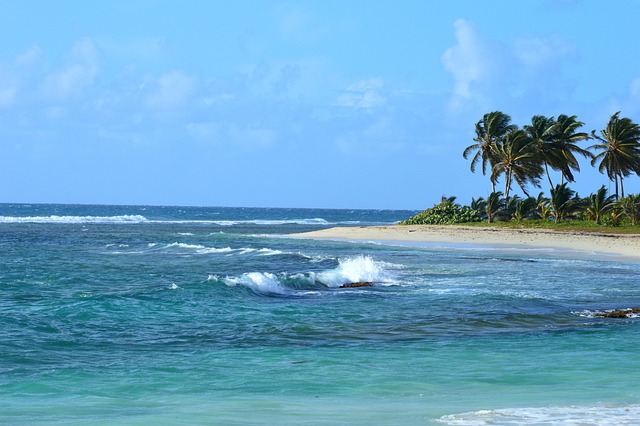 image from Workshops Guadeloupe