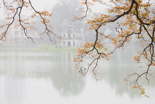 image from Citadel of the Ho Dynasty