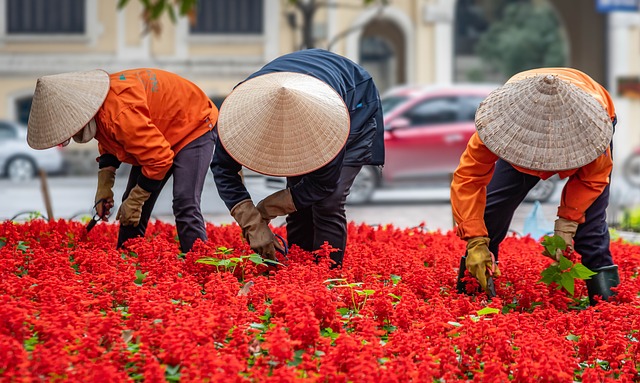 image from Hanoi Vietnam 2 Day Itinerary