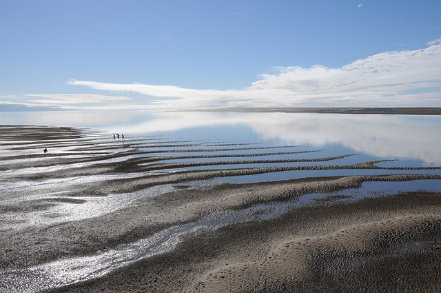 image from Sightseeing Hervey Bay