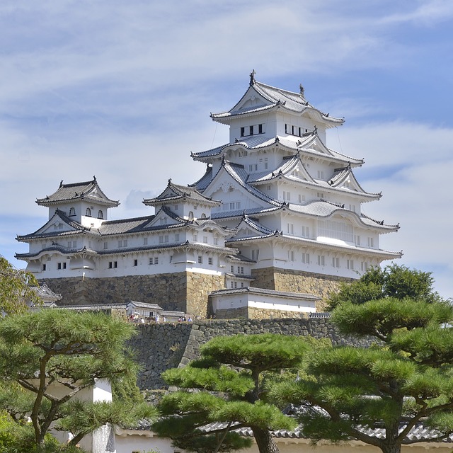 image from Himeji Jo