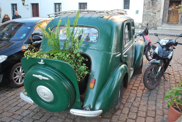 image from Historic Quarter Of The City Of Colonia Del Sacramento