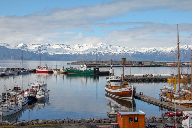 image from Sightseeing Husavik