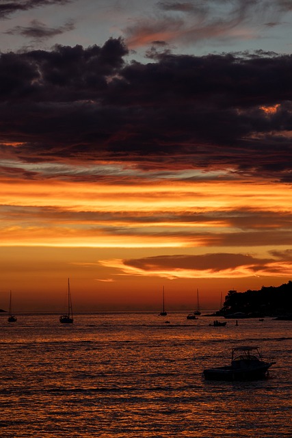 image from Bus Tours Hvar