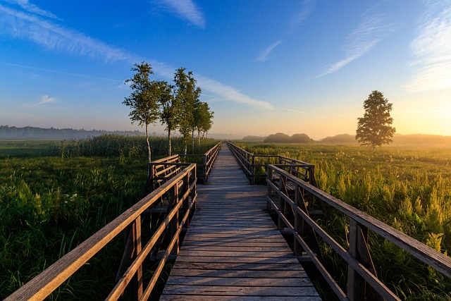 image from Isimangaliso Wetland Park