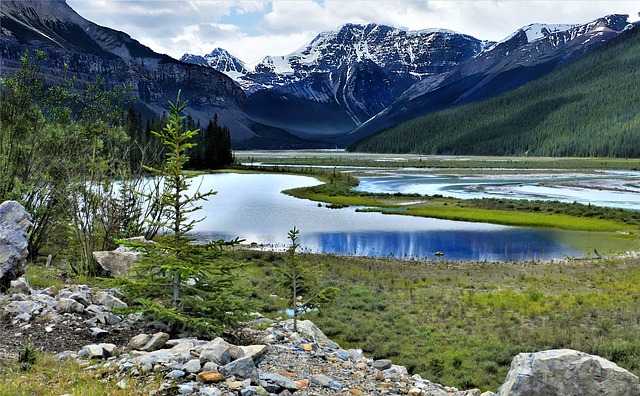 image from Walking Tours Jasper