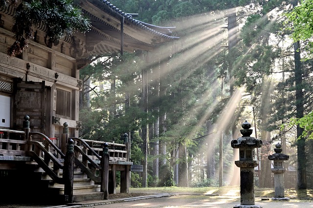 image from Kagoshima, Japan-nature-spots