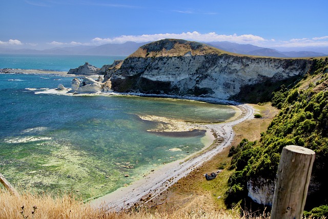 image from Kaikoura Boat Tours