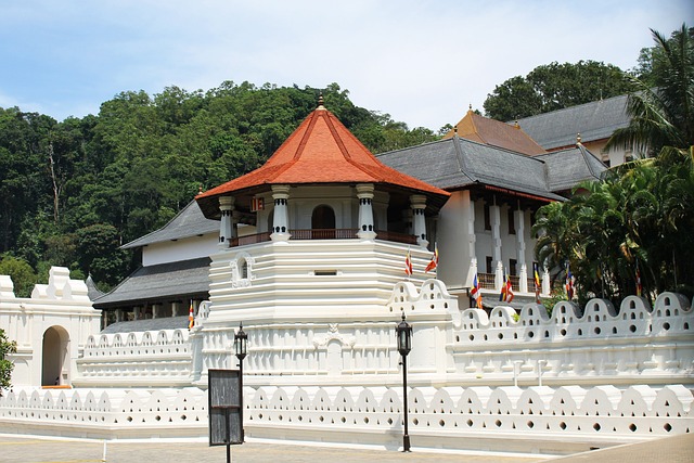 image from Multi Day Trips Kandy