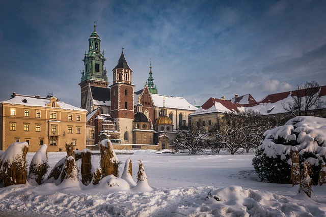 image from Krakow   Wawel Cathedral