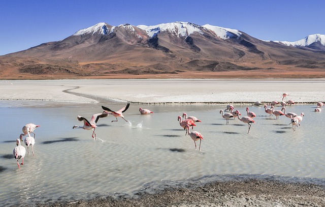 image from La Paz, Bolivia 7 Day Itinerary