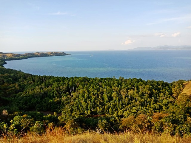 image from Day Trips Labuan Bajo