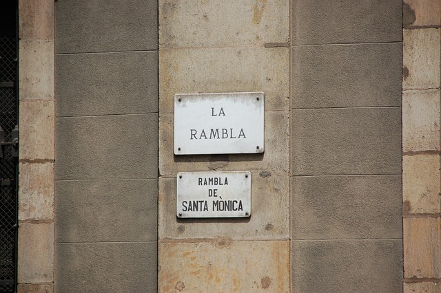 image from Las Ramblas