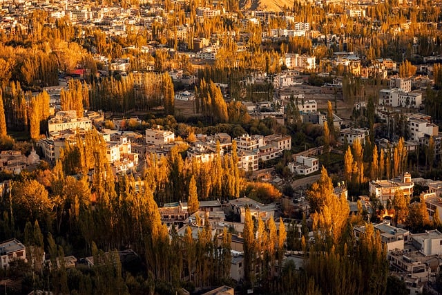 image from Multi-day Trips León