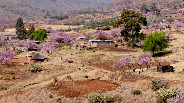 image from Lesotho 3 Day Itinerary