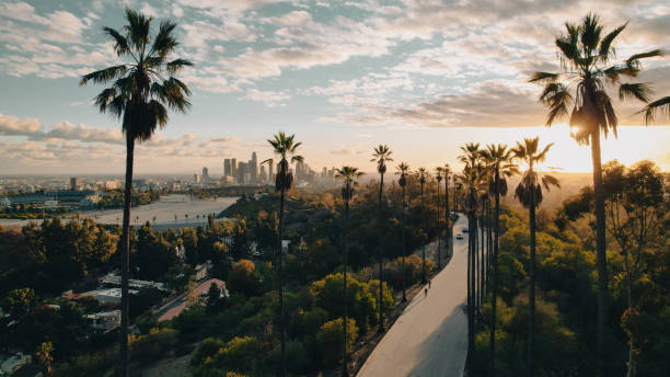 image from Things To Do In Los Angeles