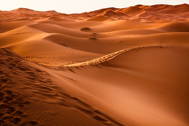 image from Lut Desert