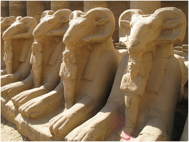 image from Bus Tours Luxor