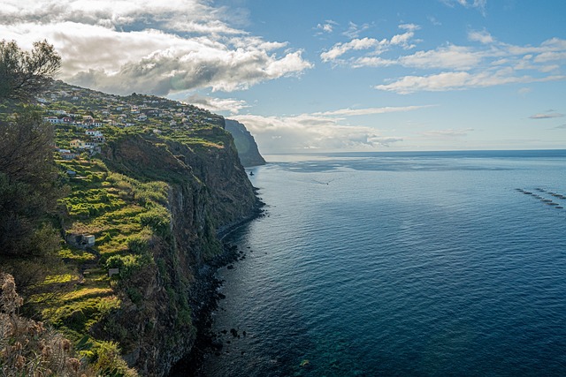 image from Couple Activities Madeira