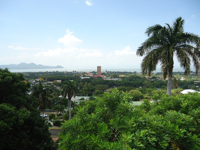 image from Solo Activities Managua