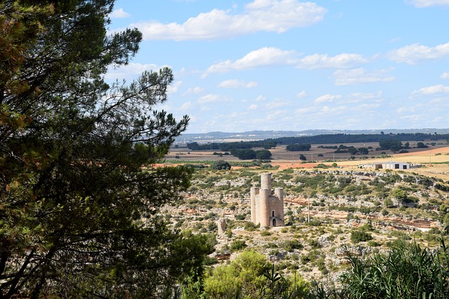 image from Bus Tours Manche