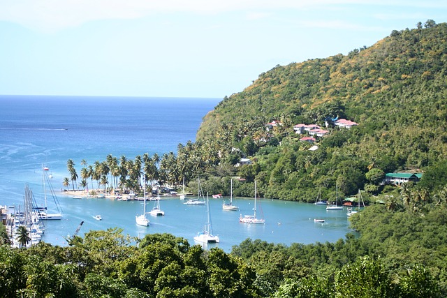 image from Walking Tours Marigot