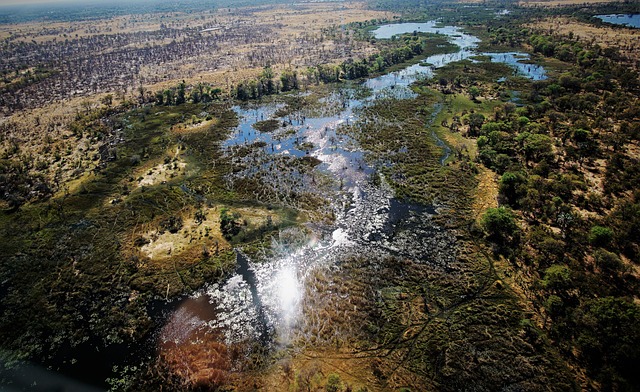 image from Adventure Tours Maun