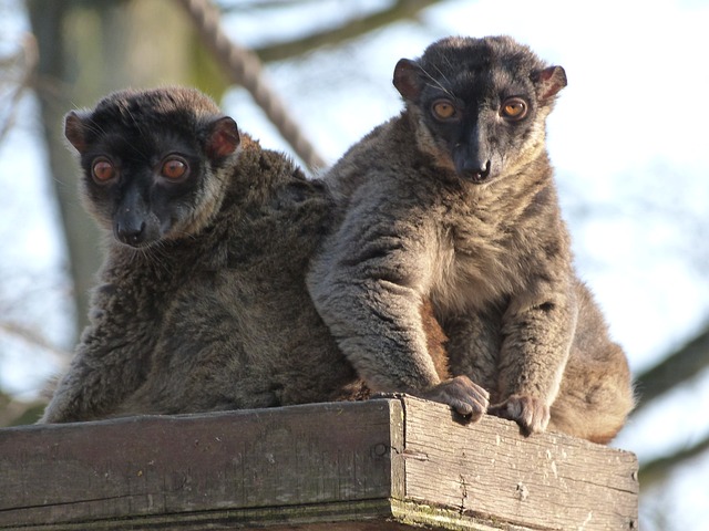 image from Mayotte 4 Day Itinerary