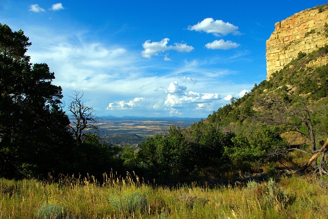 image from Mesa Verde National Park