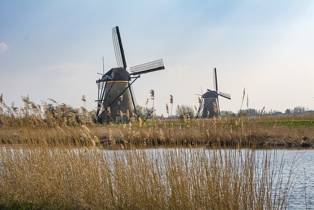 image from Mill Complex At Kinderdijk