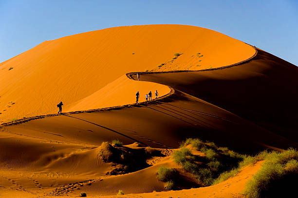 image from Walking Tours Namibia