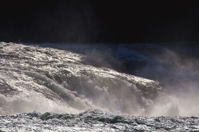 image from Animal activities Neuhausen am Rheinfall