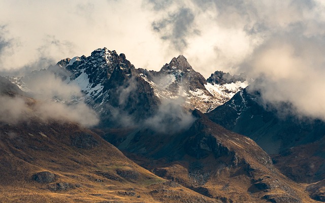 image from New Zealand Sub Antarctic Islands