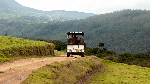 image from Bus Tours Nuwara Eliya