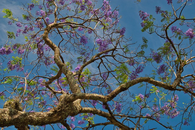 image from Tortuguero National Park Costa Rica