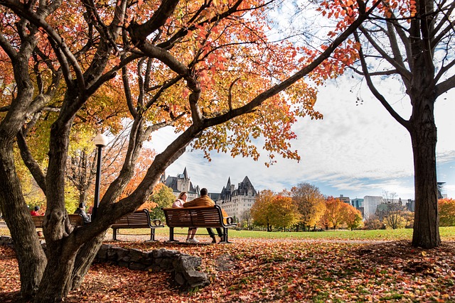 image from Ottawa Boat Tours