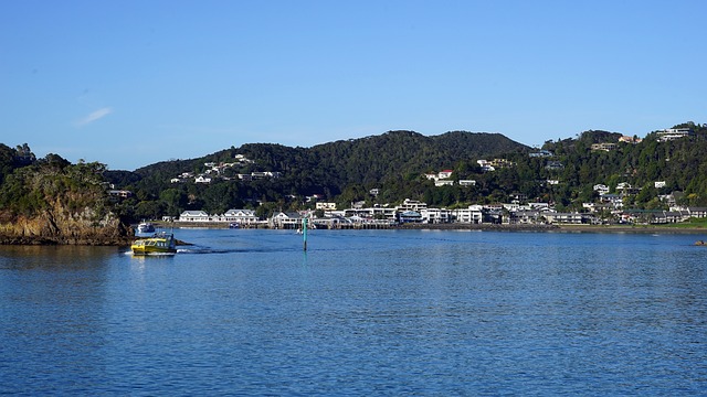 image from Group Activities Paihia