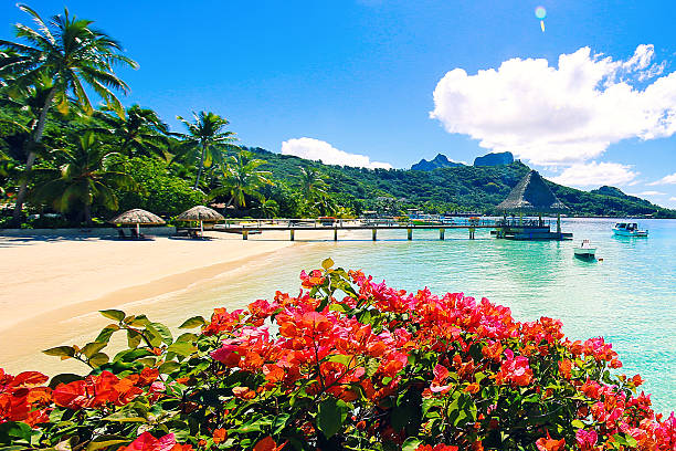 image from Papeete, Bora Bora 3 Day Itinerary