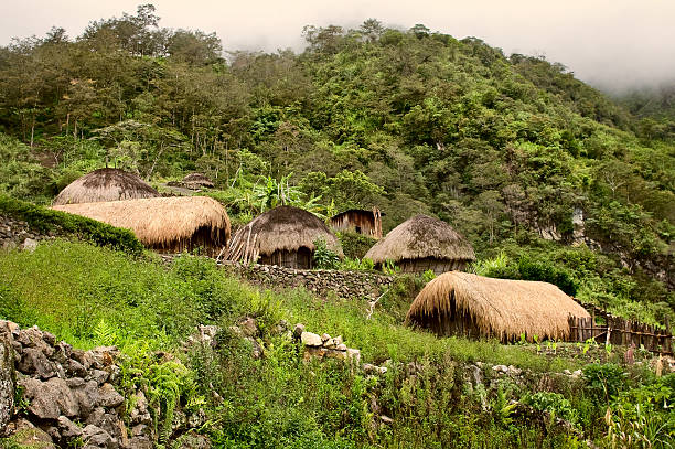 image from Papua New Guinea