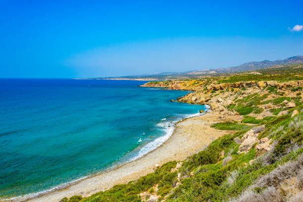 image from Peyia Boat Tours