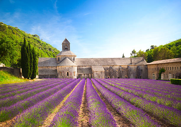 image from Provence \(France\)