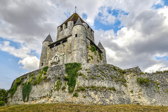 image from Provins, Town Of Medieval Fairs