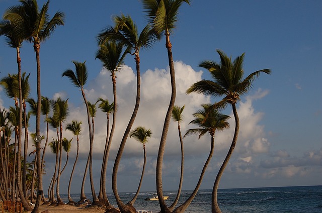 image from Punta Cana Domincan Republic Hiking Areas