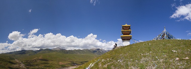 image from Qinghai Hoh Xil