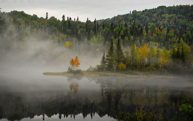 image from Walking Tours Quebec