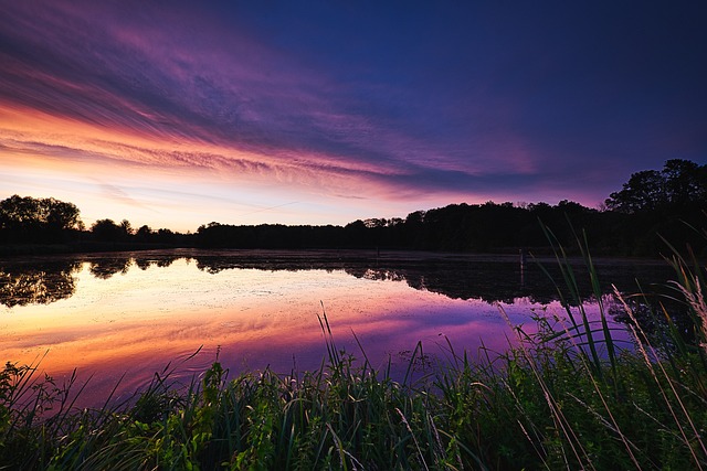 image from R O Pl Tano Biosphere Reserve