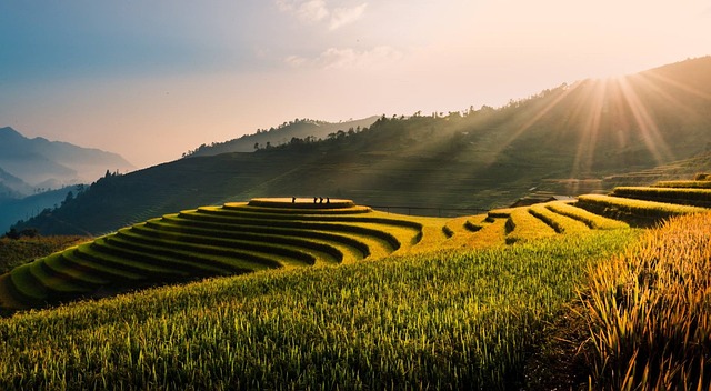 image from Rice Terraces of the Philippine Cordilleras