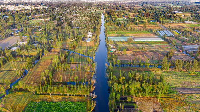 image from Ride The Canals Of Xochimilco, Outside Of Mexico City In A Trajinera