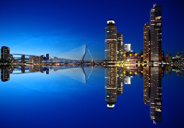 image from Day Trips Rotterdam